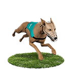 發玖發娛樂城白金賽狗 發玖發娛樂城白金賽狗